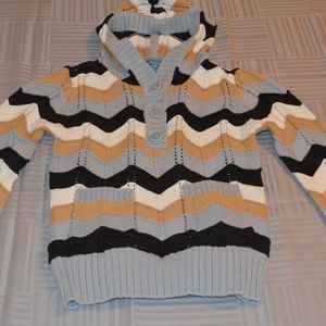 The Children's Place knit pullover sweater w/ hood